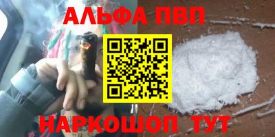 спиды Новодвинск