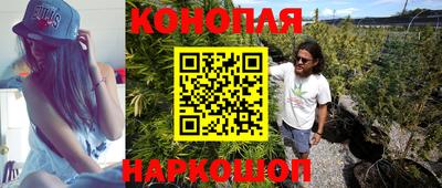 спиды Новодвинск