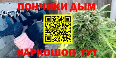 спиды Новодвинск