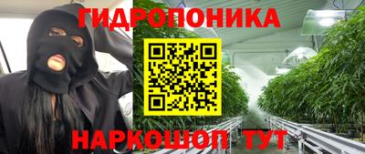 сатива Новокубанск