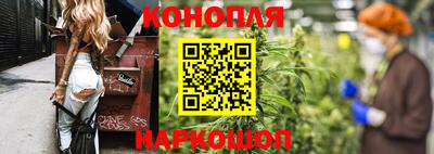 спиды Новодвинск