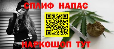 спиды Новодвинск
