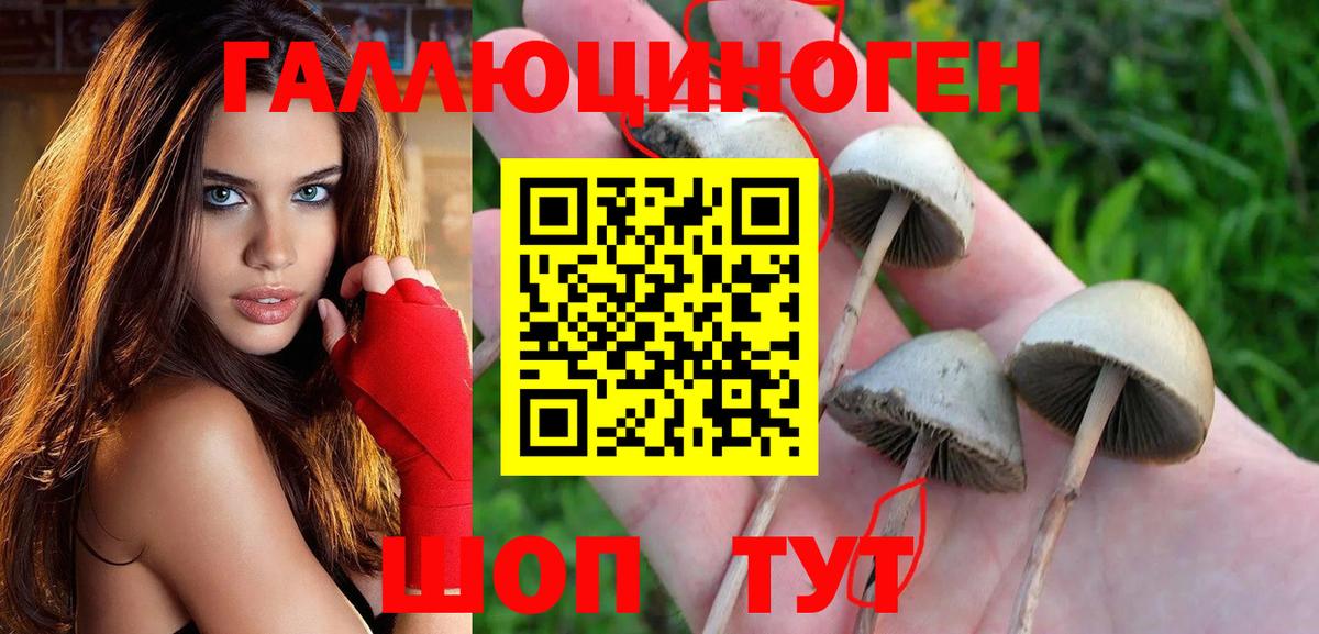 Галлюциногенные грибы мицелий  Вход с VPN  Владикавказ 